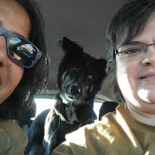 Came off a 2021 polaris xc850 matryx. No i will not ship. No I will not  meet you half way.