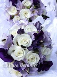 It comes in a handful of colors from purple to magenta to a striped white and is a. Jenni S Purple Wedding Flowers Pure Botanics