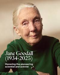 Today at the Soho House Mews Club @sohohouse I had the privilege of  interviewing In conversation with one of the most respected individuals in  science Sir Ian Blatchford, Director and Chief Executive