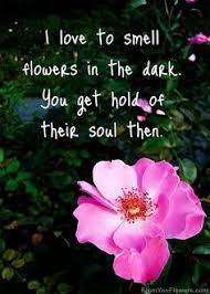 Send them flowers right away. Dark Quotes About Flowers Quotesgram