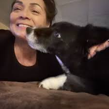 TOP 10 BEST Low Cost Vet in Chino, CA