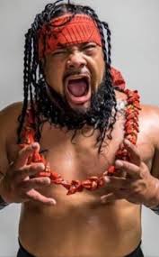 Jacob Fatu really messed up Johnny Wrestling! Very impressive!