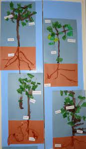 Trains Turtles And Trees For T Tree Study Creative Curriculum Study Creative