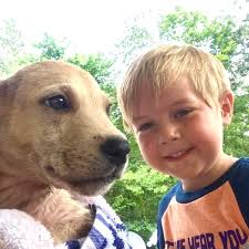 Profile for Pawzatively Canine