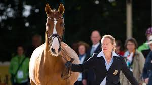 L'equitazione, unica disciplina che coinvolge un animale, fece il suo debutto ai giochi olimpici come disciplina ufficiale a parigi 1900 con alcuni eventi legati ai salti. Dressurpferd Bella Rose Supermodel Mit Vier Beinen
