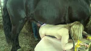 Russian horse sex
