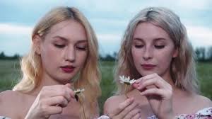 Two Cute Young Blonde Women Tear Off Daisy Petals Standing in a Green Field