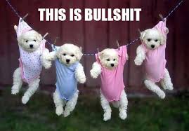 Published on april 1, 2016 , under funny. Bullshit Funny Pictures Quotes Pics Photos Images Videos Of Really Very Cute Animals