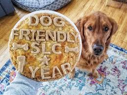 Satisfy your pastry or bread fix with some great local flavors. Dog Birthday Cakes And Resources In Salt Lake City Dog Friendly Slc