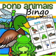 Pond life is a wonderful preschool theme because it explores animals that many of our students see out in their own … Pond Animals Bingo Plus Printables For Preschool And Pre K By Kidsparkz