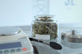 Fullscript.com has been visited by 10k+ users in the past month Miami Florida Says Medical Marijuana Dispensaries Are Illegal Miami New Times