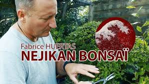 Interview JP HOAREAU