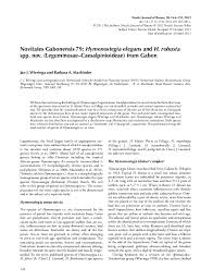 Image result for Elionurus platypus