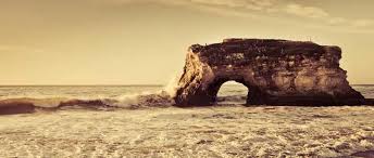 Robert Wood Wilkinson (Woody)