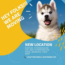 #11 of 14 b&bs in vasai  bath tub? Kleitos Pets å¸–å­ Facebook