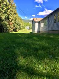 The Art & Archaeology of a Buried Skatepark — North Shore Heritage  Preservation Society