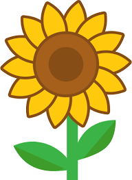 Sunflower Plant Icon Png And Svg Vector Free Download