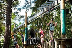 Have fun playing forest adventure one of the best puzzle game on kiz10.com. Super Landmark Forest Adventure Park Carrbridge Reisebewertungen Tripadvisor