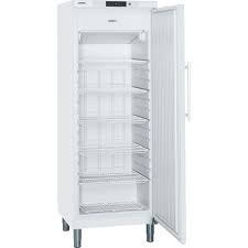 Congelateur Armoire Grande Capacite Congelateur Armoire Grande Capacite Congelateur Armoire Pas Cher Achat Congelateur Armoire Nombreux Modeles De Congelateur With Images
