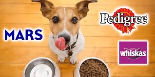 In 2019, north america is the largest geographical segment of the market the major players in the global pet food market are: Purchase Mars Petcare And Food Up To 60 Off
