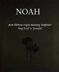 How Am I Going To Kill My Way Out Of This One Names With Meaning Noah Name Boy Names