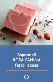 Un prodotto versatile e utilizzato sia per la pulizia della casa, delle stoviglie e del bucato, sia come sapone per l'igiene personale, poiché la presenza dell'olio di oliva lo rende perfetto per la. Come Fare Il Sapone Alla Rosa Canina 6 Passi Fare Il Sapone Sapone Sapone Fatto In Casa