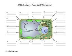 Check spelling or type a new query. Lifescitrc Org Cells Alive Plant Cell Worksheet