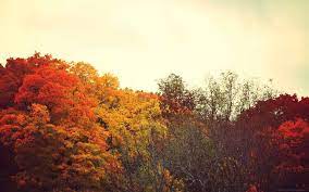 We did not find results for: Life Isn T Fair Autumn Tumblr Desktop Wallpaper Fall Fall Wallpaper