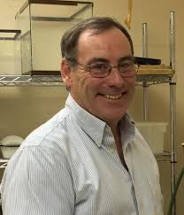 Clemson professor to speak at Pickens County Beekeepers meeting