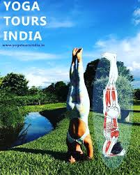 In Sirsasana Sirsa Means The Head It Is Also Called Headstand Pose Which Is One Of The Most Important Yoga Poses In This Yoga Pose The Body Is Completel