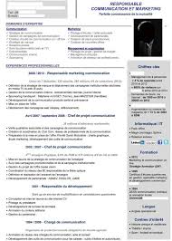 Les Meilleurs Exemples De Cv Pour 2015 Exemple Cv Offre Emploi Methodologie De Projet