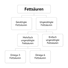 1.5 ce rol mai au. Omega 3 Fettsauren Das Mussen Sie Wissen Doppelherz