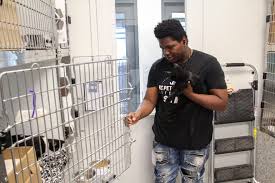 Can Paid Summer Internships Help Cut Crime? A Kansas City Collaboration  Aims To Find Out