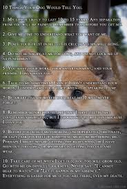 Check spelling or type a new query. Put Tears In My Eyes Dogs Corgi I Love Dogs