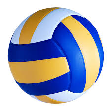 Volleyball - Fulton Science Academy Private School - Science ...