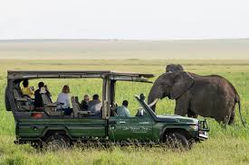 Maybe you would like to learn more about one of these? What Does A Safari Cost 2021 Guidelines Go2africa