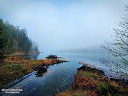 Check spelling or type a new query. Good Morning Scenery Bay Natural Nature Ocean Pnw Season Spring The Sound Hd Wallpaper Peakpx