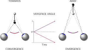 Image result for artistic divergence eyeballs
