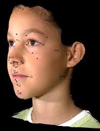 Landmarks identified and digitized