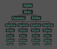 Pack Of Wolves That Worship The Stars Who Control All The Midland Territory Description From Forum Naruto Viz Com I Searched For This Werewolf Wolf Pack Wolf