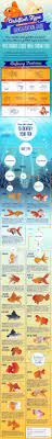 All Types Of Goldfish And How To Easily Tell Them Apart Goldfish Types Common Goldfish Goldfish