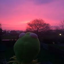 A collection of the top 41 kermit wallpapers and backgrounds available for download for free. Pin On Something