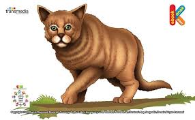 Kucing Lebih Hebat Dari Singa Dan Harimau Kucing Singa Kucing Besar