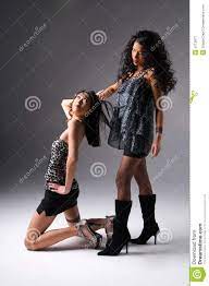 Lesbian Playfulness stock image. Image of lovers, couple - 8712871