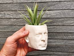 Bruce Willis Airplant Holder