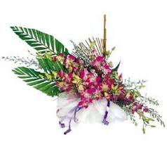 Our warehouse and design studio, located in stamford, ct employs highly trained, experienced and professional designers. Florist Express Of Stamford Arrangement Of Orchids Stamford Ct 06901 Ftd Florist Flower And Gift Delivery