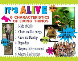 Make A Science Fair Project Poster Ideas Characteristics Of Life Living Science Projects For Kids Characteristics Of Living Things Science Fair Projects