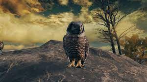 Owl | Elden Ring Wiki