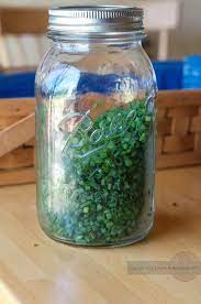 Place the chive pieces or other herbs on the dehydrator trays. How To Dry Chives Freezing Chives Sun Drying Chives Storing Chives