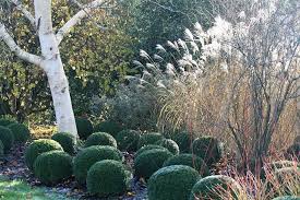 Bestall Co On Instagram Some Inspiration From A Trip To The Sir Harold Hillier Gardens In Hampshire Clipped Box Balls Touched By Fr Instagram Trip Outdoor